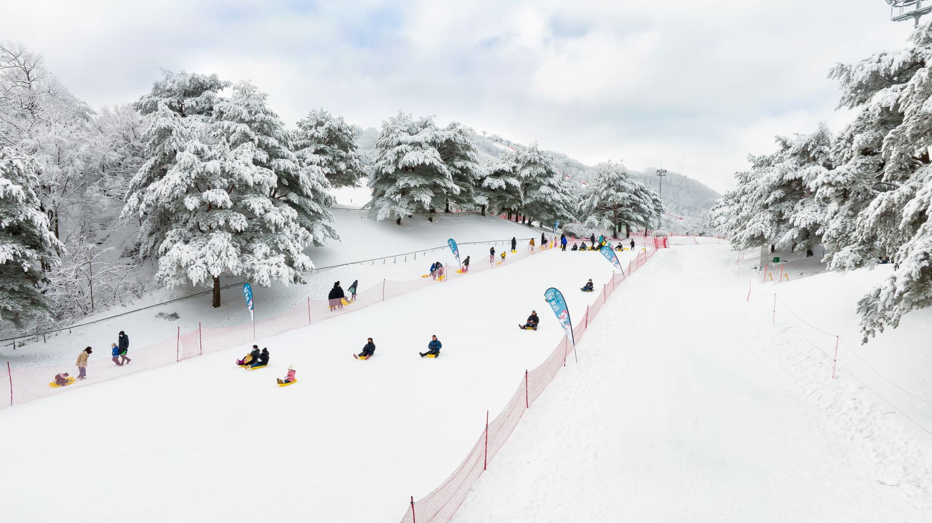 Strawberry Picking, Vivaldi Park, and Eobi Ice Valley Full-Day Tour from Seoul - image 9
