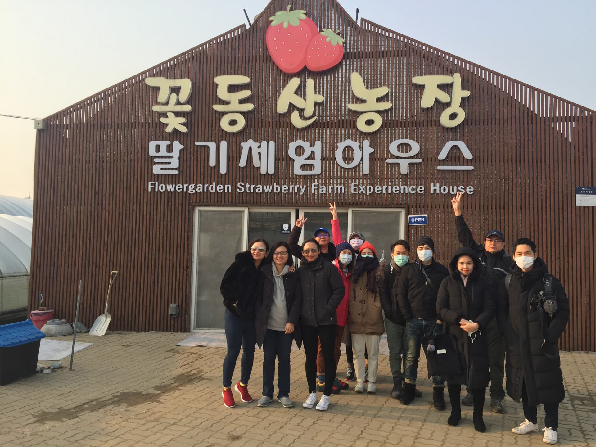 Strawberry Picking, Vivaldi Park, and Eobi Ice Valley Full-Day Tour from Seoul - image 5