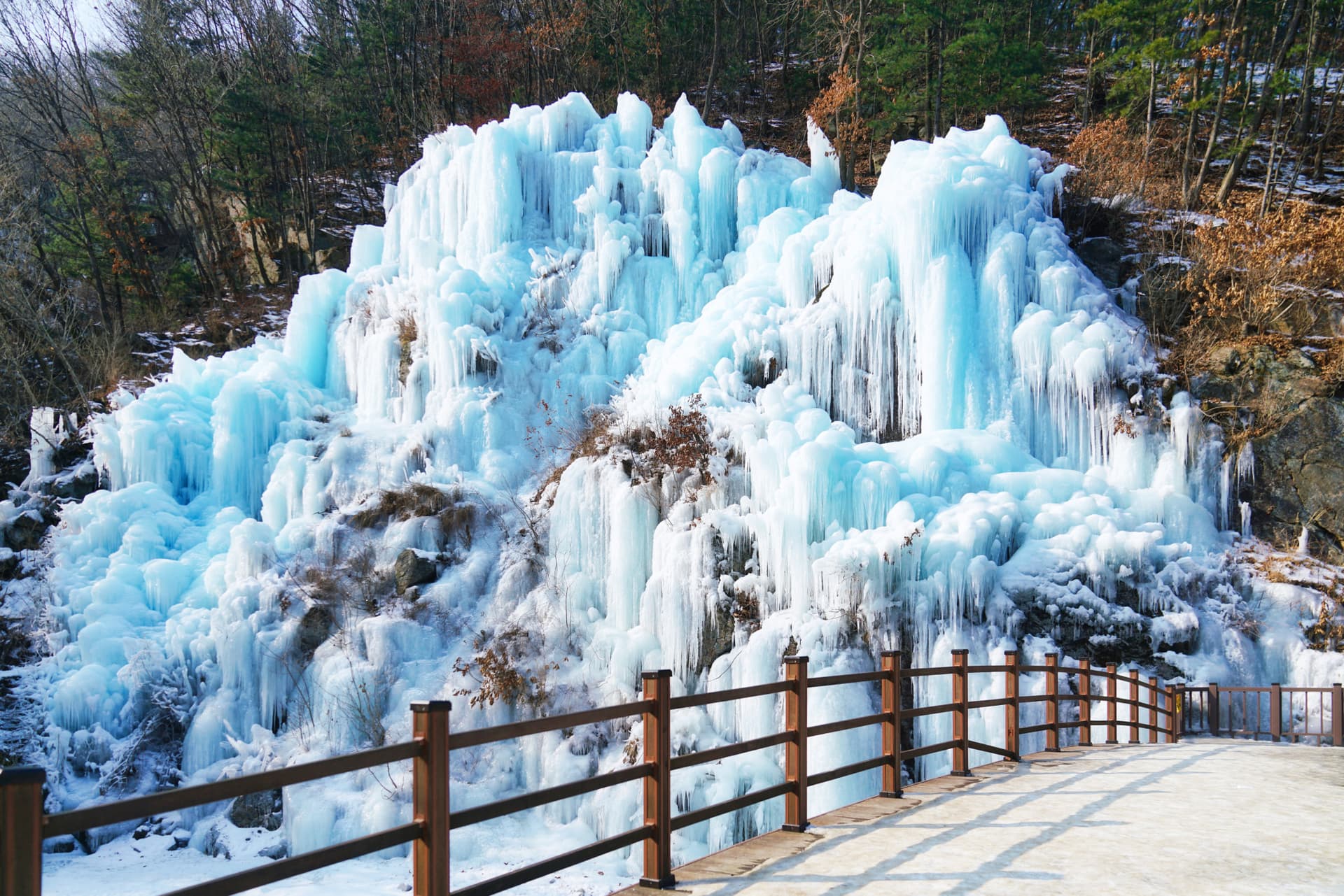 Strawberry Picking, Vivaldi Park, and Eobi Ice Valley Full-Day Tour from Seoul - image 13