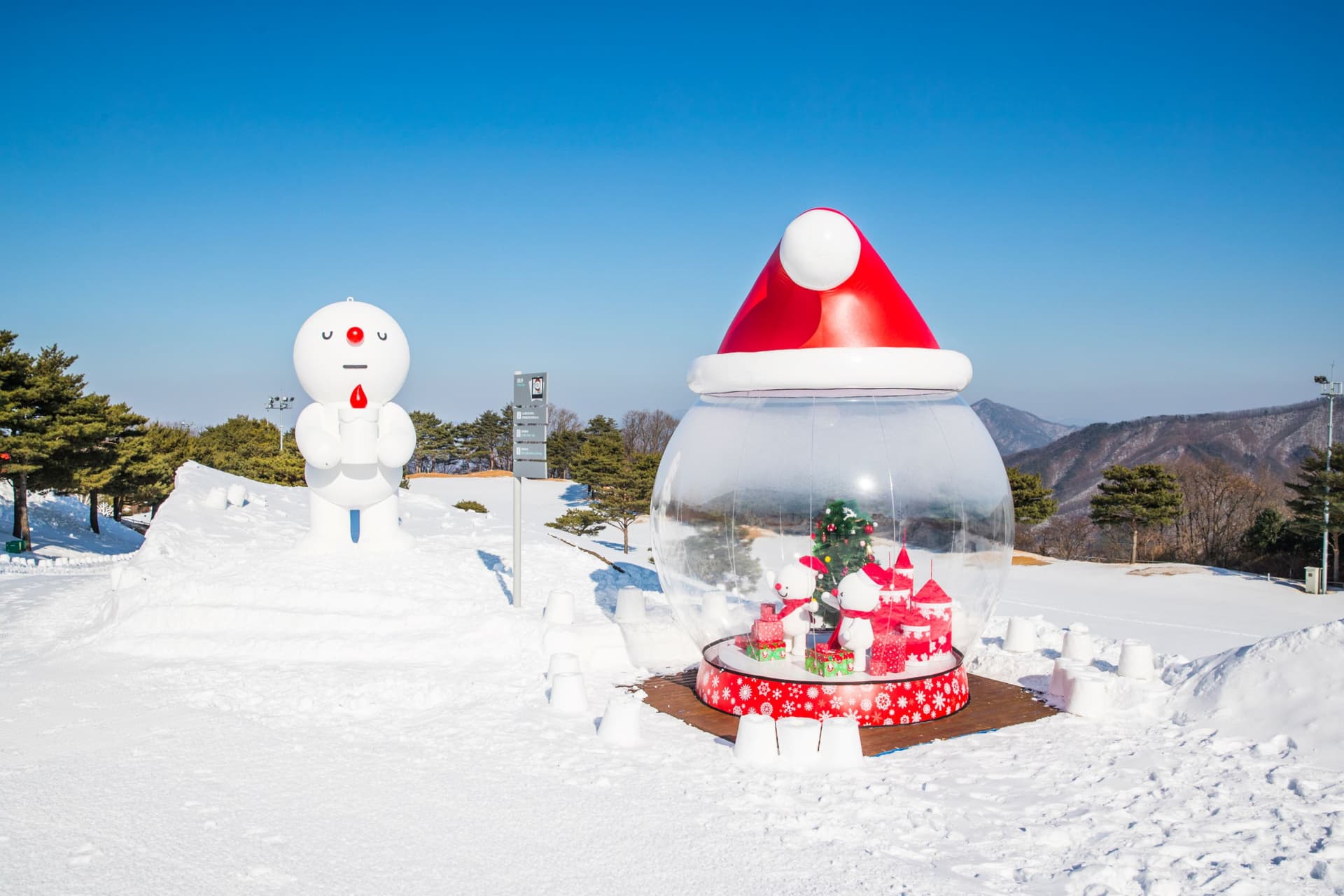 Strawberry Picking, Vivaldi Park, and Eobi Ice Valley Full-Day Tour from Seoul - image 8