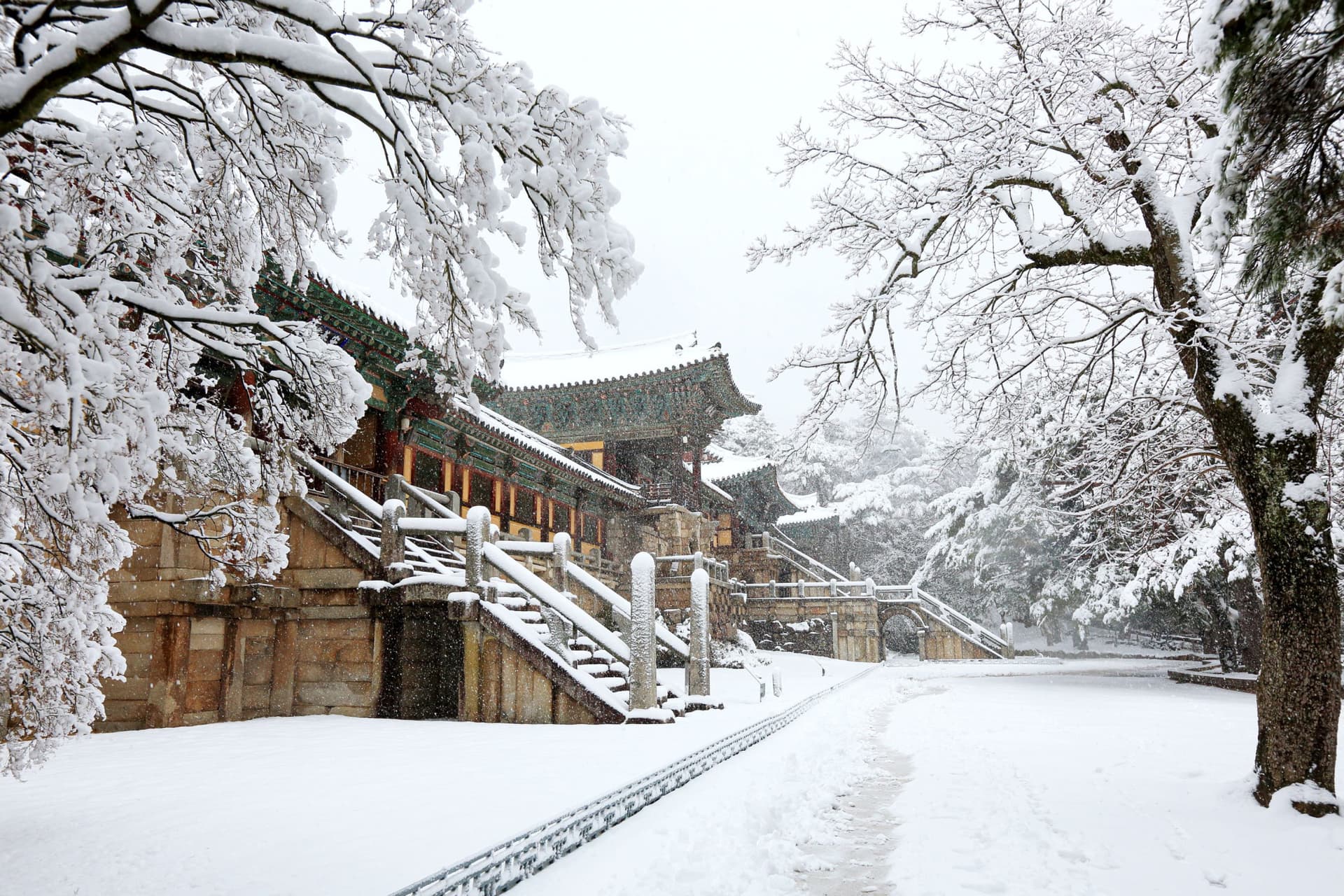 Gyeongju Kookmin Healing Park, Bulguksa, Woljeong Bridge, Gyochon Village Full-Day Tour from Busan - image 2
